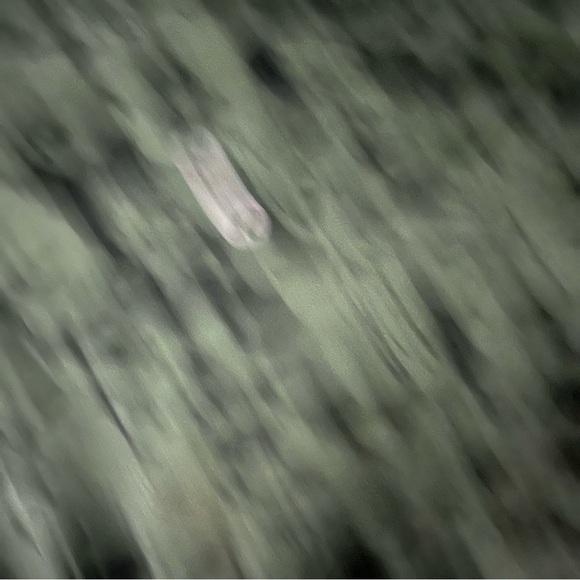 Lululemon Align Leggings Efflorescent Barracks Green Black Size 4 - Picture 4 of 7